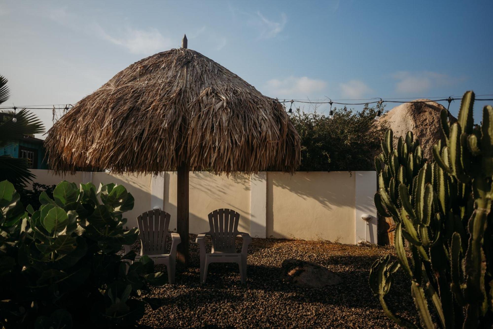 Pura Vida Aruba Appartement Palma Noord Luaran gambar